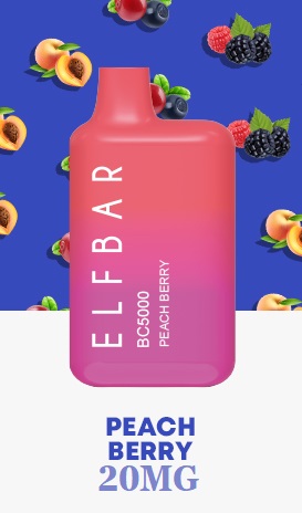 prach berry by elfbar 5000 puffs disposable 20mg