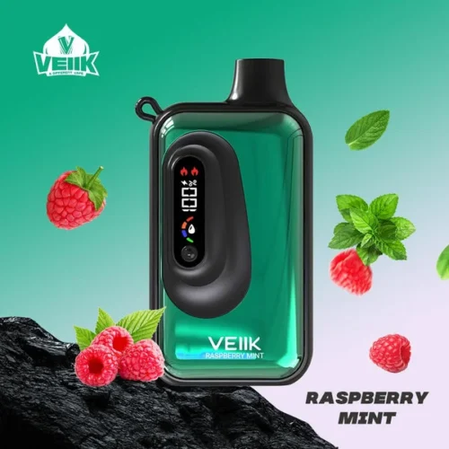 Veiik Space VKK 20000 Puffs Raspberry Mint Disposable Vape In Dubai